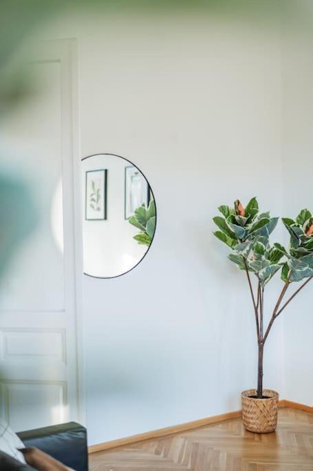 Chic #11 Apartament
